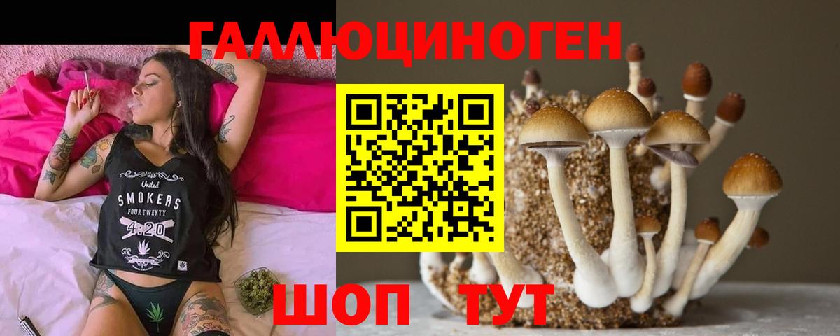 Вязьма  Галлюциногенные грибы GOLDEN TEACHER  Галлюциногенные грибы Psilocybine cubensis  Вход с VPN 